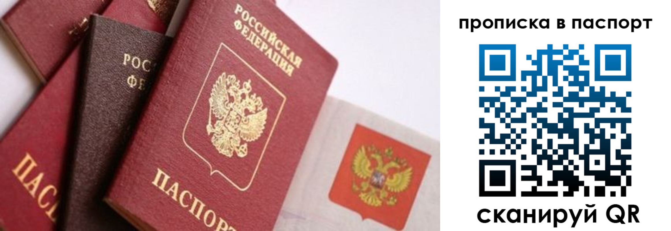 прописка штамп в Камышлове